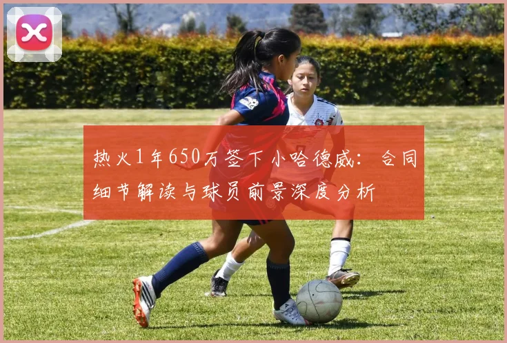 热火1年650万签下小哈德威：合同细节解读与球员前景深度分析